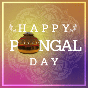 Pongal. A festive pongal pot ready to celebrate the harvest.