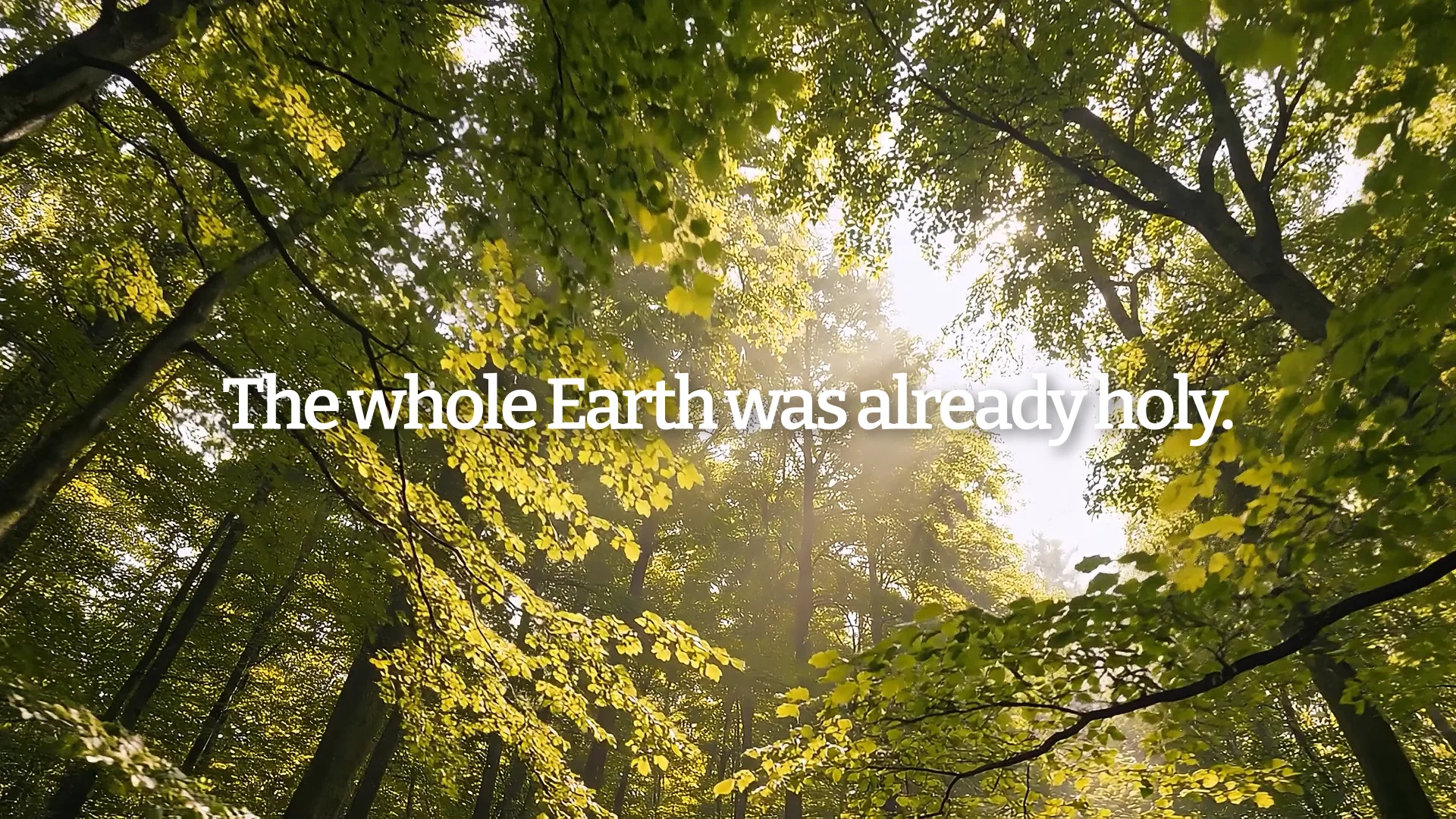 Sunlit forest canopy with yellow-green leaves and inspirational text overlay for Season of Creation worship