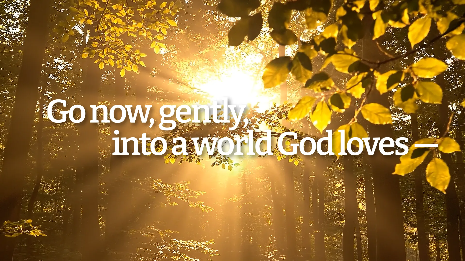 Sunlight streaming through golden autumn forest leaves with text "Go now, gently, into a world God loves