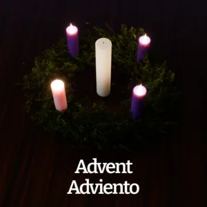 Advent wreath with lit purple and white pillar candles surrounded by fresh evergreen branches, viewed from above