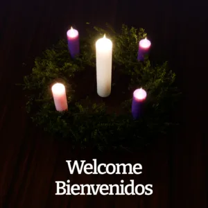 Advent wreath with lit candles in pink, purple, and white arranged in evergreen circle, viewed from above